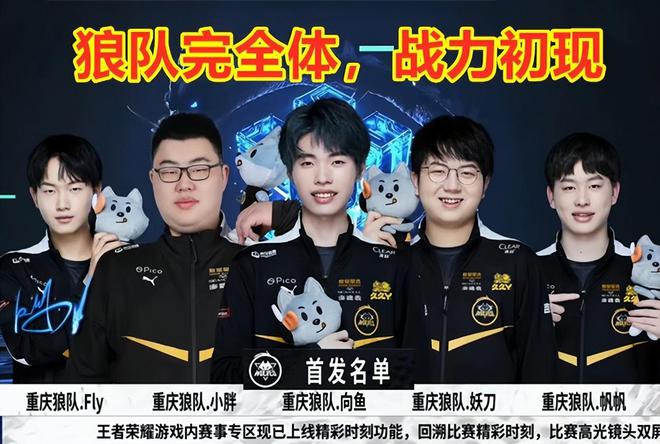 议的重要动