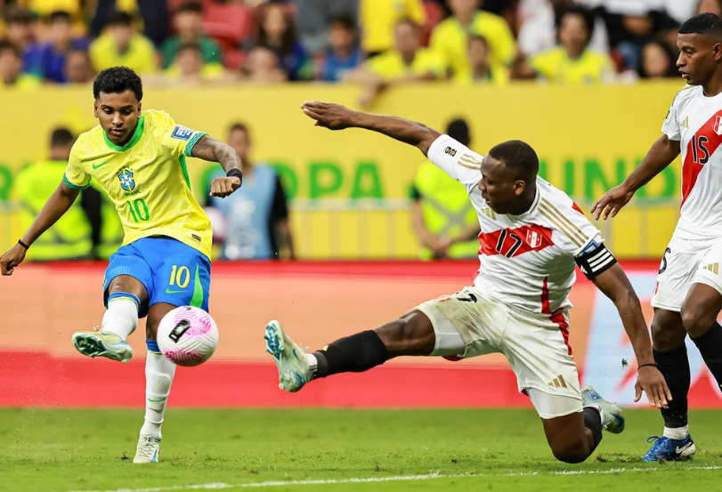 但这并未能 但这并未能